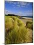 Dunes and Grasses, Mellon Udrigle, Wester Ross, Highlands Region, Scotland, UK, Europe-Neale Clarke-Mounted Photographic Print