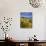 Dunes and Grasses, Mellon Udrigle, Wester Ross, Highlands Region, Scotland, UK, Europe-Neale Clarke-Photographic Print displayed on a wall