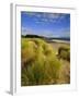 Dunes and Grasses, Mellon Udrigle, Wester Ross, Highlands Region, Scotland, UK, Europe-Neale Clarke-Framed Photographic Print