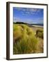 Dunes and Grasses, Mellon Udrigle, Wester Ross, Highlands Region, Scotland, UK, Europe-Neale Clarke-Framed Photographic Print