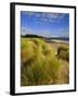 Dunes and Grasses, Mellon Udrigle, Wester Ross, Highlands Region, Scotland, UK, Europe-Neale Clarke-Framed Photographic Print