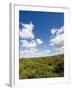 Dunes and Mediterranean Bush Behind Capalbio Beach, Capalbio, Grosseto Province, Tuscany, Italy-Nico Tondini-Framed Premium Photographic Print