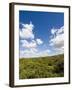 Dunes and Mediterranean Bush Behind Capalbio Beach, Capalbio, Grosseto Province, Tuscany, Italy-Nico Tondini-Framed Premium Photographic Print