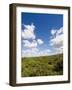 Dunes and Mediterranean Bush Behind Capalbio Beach, Capalbio, Grosseto Province, Tuscany, Italy-Nico Tondini-Framed Photographic Print