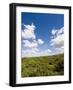 Dunes and Mediterranean Bush Behind Capalbio Beach, Capalbio, Grosseto Province, Tuscany, Italy-Nico Tondini-Framed Photographic Print