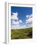 Dunes and Mediterranean Bush Behind Capalbio Beach, Capalbio, Grosseto Province, Tuscany, Italy-Nico Tondini-Framed Photographic Print