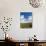 Dunes and Mediterranean Bush Behind Capalbio Beach, Capalbio, Grosseto Province, Tuscany, Italy-Nico Tondini-Photographic Print displayed on a wall