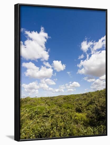 Dunes and Mediterranean Bush Behind Capalbio Beach, Capalbio, Grosseto Province, Tuscany, Italy-Nico Tondini-Framed Photographic Print