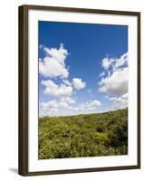 Dunes and Mediterranean Bush Behind Capalbio Beach, Capalbio, Grosseto Province, Tuscany, Italy-Nico Tondini-Framed Photographic Print