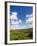 Dunes and Mediterranean Bush Behind Capalbio Beach, Capalbio, Grosseto Province, Tuscany, Italy-Nico Tondini-Framed Photographic Print