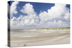 Dunes at a Beach, Sankt Peter Ording, Eiderstedt Peninsula, Schleswig Holstein, Germany, Europe-Markus Lange-Stretched Canvas