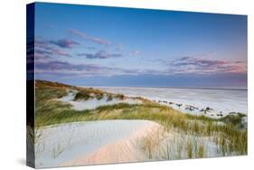 Dunes at Dusk, Amrum Island, Northern Frisia, Schleswig-Holstein, Germany-Sabine Lubenow-Stretched Canvas