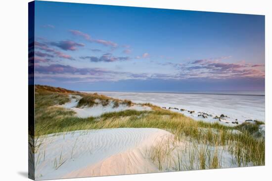 Dunes at Dusk, Amrum Island, Northern Frisia, Schleswig-Holstein, Germany-Sabine Lubenow-Stretched Canvas