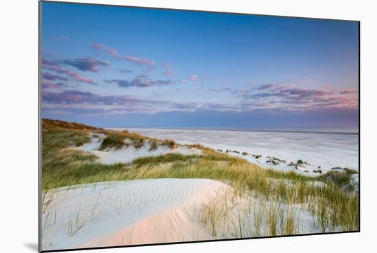 Dunes at Dusk, Amrum Island, Northern Frisia, Schleswig-Holstein, Germany-Sabine Lubenow-Mounted Photographic Print