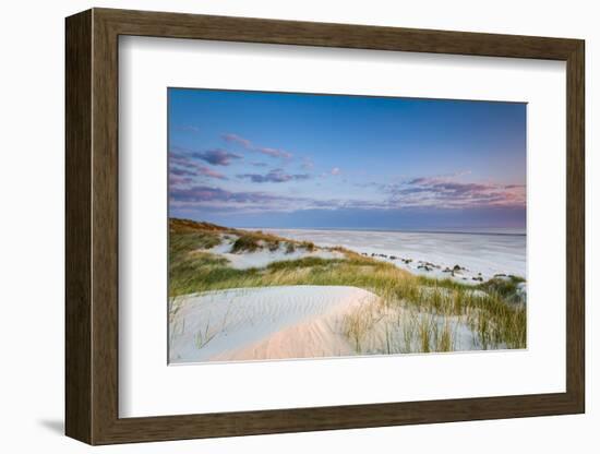 Dunes at Dusk, Amrum Island, Northern Frisia, Schleswig-Holstein, Germany-Sabine Lubenow-Framed Photographic Print