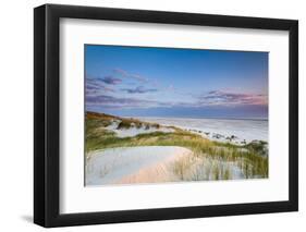 Dunes at Dusk, Amrum Island, Northern Frisia, Schleswig-Holstein, Germany-Sabine Lubenow-Framed Photographic Print