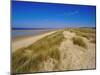 Dunes at Hardelot Plage, Near Boulogne, Pas-De-Calais, France, Europe-David Hughes-Mounted Photographic Print