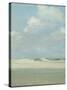 Dunes at the Sea (Laguna Beach)-Eleanor Ruth Colburn-Stretched Canvas