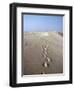 Dunes Du Pilat, Guyenne, Near Bordeaux, Aquitaine, France-Adam Woolfitt-Framed Photographic Print