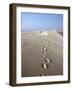 Dunes Du Pilat, Guyenne, Near Bordeaux, Aquitaine, France-Adam Woolfitt-Framed Photographic Print