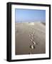 Dunes Du Pilat, Guyenne, Near Bordeaux, Aquitaine, France-Adam Woolfitt-Framed Photographic Print