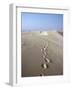 Dunes Du Pilat, Guyenne, Near Bordeaux, Aquitaine, France-Adam Woolfitt-Framed Photographic Print