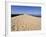 Dunes Du Pyla, Bay of Arcachon, Cote D'Argent, Aquitaine, France, Europe-Peter Richardson-Framed Photographic Print