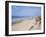 Dunes, Fort Mahon, Calais, Pas-De-Calais, Nord-Picardie (Picardy), France-David Hughes-Framed Photographic Print