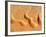 Dunes from Above, Sossusvlei, Namib-Naukluft National Park, Namib Desert, Namibia, Africa-Nadia Isakova-Framed Photographic Print