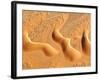 Dunes from Above, Sossusvlei, Namib-Naukluft National Park, Namib Desert, Namibia, Africa-Nadia Isakova-Framed Photographic Print