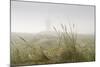 Dunes, Grass, the North Sea, Island Langeoog, Fog-Roland T.-Mounted Photographic Print