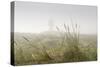 Dunes, Grass, the North Sea, Island Langeoog, Fog-Roland T.-Stretched Canvas