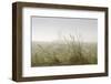 Dunes, Grass, the North Sea, Island Langeoog, Fog-Roland T.-Framed Photographic Print