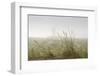 Dunes, Grass, the North Sea, Island Langeoog, Fog-Roland T.-Framed Photographic Print