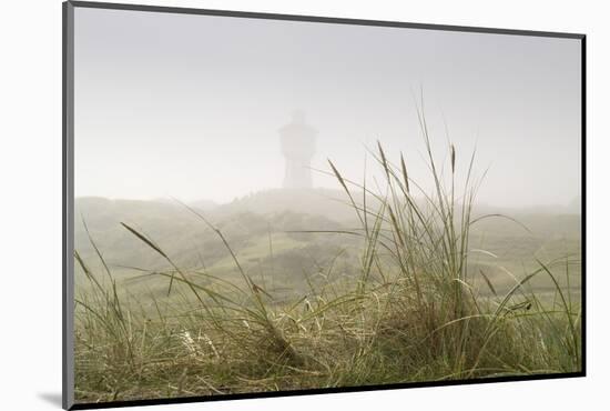 Dunes, Grass, the North Sea, Island Langeoog, Fog-Roland T.-Mounted Photographic Print