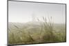 Dunes, Grass, the North Sea, Island Langeoog, Fog-Roland T.-Mounted Photographic Print