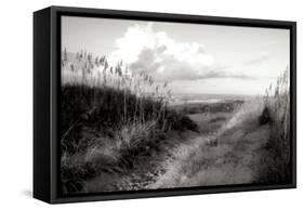 Dunes I BW-Alan Hausenflock-Framed Stretched Canvas