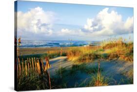 Dunes II-Alan Hausenflock-Stretched Canvas