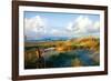 Dunes II-Alan Hausenflock-Framed Photographic Print