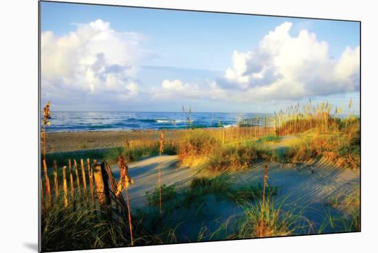 Dunes II-Alan Hausenflock-Mounted Photographic Print