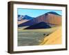 Dunes in Sossusvlei Plato of Namib Naukluft National Park - Namibia, South Africa-Vadim Petrakov-Framed Photographic Print