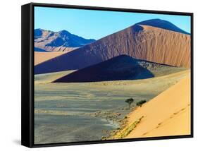 Dunes in Sossusvlei Plato of Namib Naukluft National Park - Namibia, South Africa-Vadim Petrakov-Framed Stretched Canvas