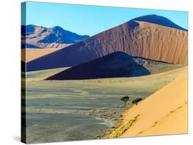 Dunes in Sossusvlei Plato of Namib Naukluft National Park - Namibia, South Africa-Vadim Petrakov-Stretched Canvas