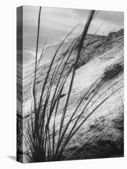 Dunes in the Cape Cod National Park-Ralph Morse-Stretched Canvas