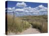 Dunes, Le Touquet, Nord Pas De Calais, France, Europe-Thouvenin Guy-Stretched Canvas