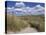 Dunes, Le Touquet, Nord Pas De Calais, France, Europe-Thouvenin Guy-Stretched Canvas