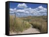 Dunes, Le Touquet, Nord Pas De Calais, France, Europe-Thouvenin Guy-Framed Stretched Canvas