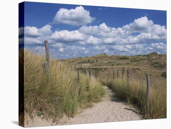 Dunes, Le Touquet, Nord Pas De Calais, France, Europe-Thouvenin Guy-Stretched Canvas