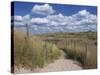 Dunes, Le Touquet, Nord Pas De Calais, France, Europe-Thouvenin Guy-Stretched Canvas