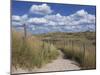 Dunes, Le Touquet, Nord Pas De Calais, France, Europe-Thouvenin Guy-Mounted Photographic Print